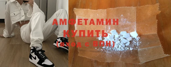 индика Белокуриха
