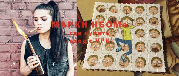 индика Белокуриха