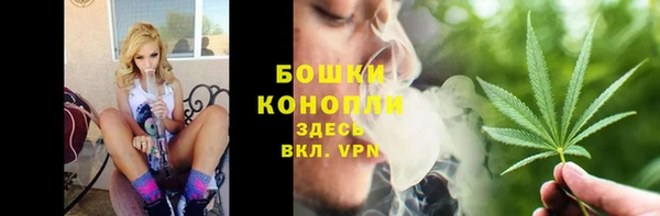 ГАЛЛЮЦИНОГЕННЫЕ ГРИБЫ Белоозёрский