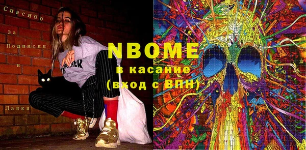 индика Белокуриха