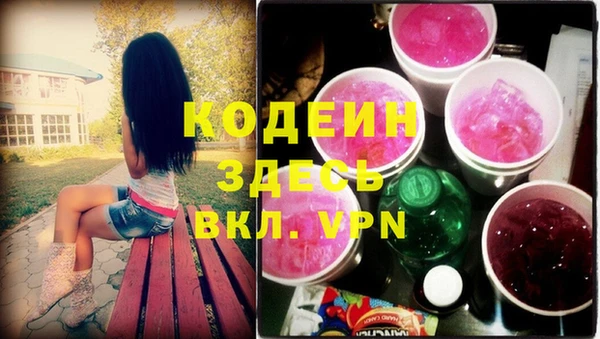 индика Белокуриха