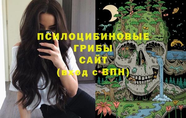 Альфа ПВП Беломорск