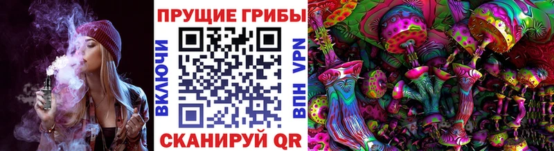 наркотики  Кунгур  Псилоцибиновые грибы MAGIC MUSHROOMS 